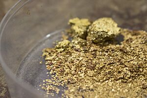 Archivo:Oro de Barbacoas