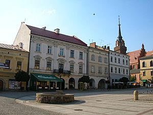 Archivo:PL Tarnów Rynek w tle Katedra