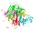 Pertussis toxin complex