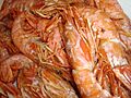 Plato de gambas