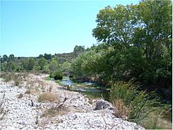 Puente sobre el Río Agrés. - panoramio.jpg