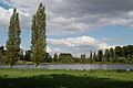 Queens Pool Blenheim Park Oxfordshire - geograph.org.uk - 1465619
