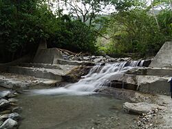 Río Yurubí.jpg