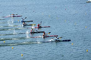 Archivo:Rio 2016. Canoagem de velocidade-Canoe sprint (29147533455)