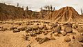 Rocas de Río y Relieve en el Desierto de La Tatacoa