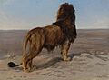 Rosa Bonheur - Lion (The look out)