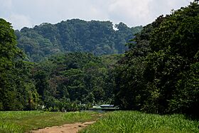 Sirena Station at Corcovado National Park Costa Rica.jpg