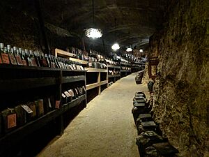 Archivo:Taragawa Cellar