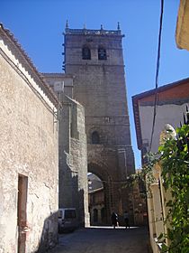 Archivo:Torre de la iglesia de Sta. María la Mayor de Ledesma---3