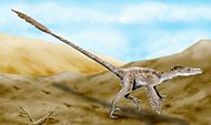 Archivo:Velociraptor mongoliensis