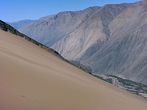 Archivo:Vertical Desert. - panoramio