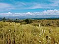Villa Yacanto prairies