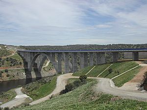 Archivo:A-66. Puente sobre el río Almonte