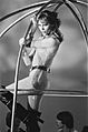 Amanda Lear 929-5962
