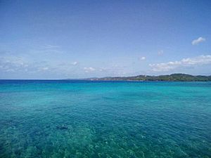 Archivo:Arrecife coralino de Roatán