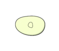 Binary fission anim