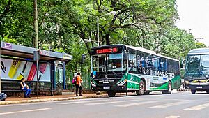 Archivo:Bus Eléctrico CDE