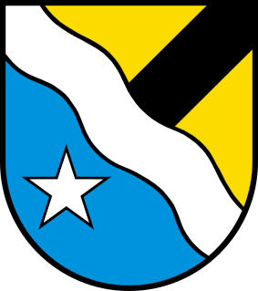 CHE Erlinsbach AG COA