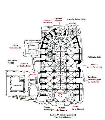 Archivo:Catedral Murcia 5