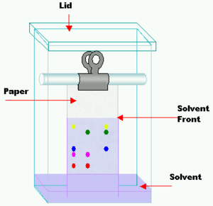 Archivo:Chromatography tank