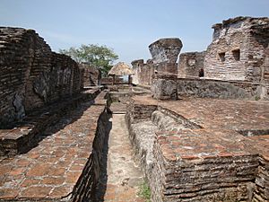 Archivo:Comalcalco.Interior de La Gran Acrópolis