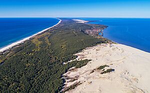 Archivo:Curonian Spit NP 05-2017 img17 aerial view at Epha Dune