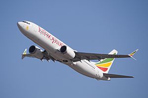 Archivo:Ethiopian Airlines ET-AVJ takeoff from TLV (46461974574)