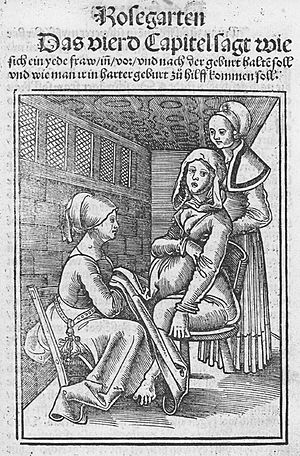 Archivo:Eucharius Rößlin Rosgarten Childbirth