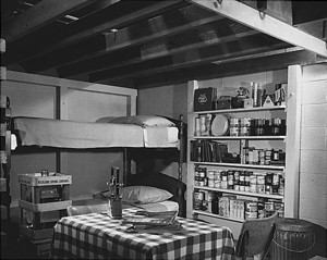 Archivo:Fallout shelter photo