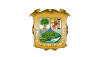 Flag of Coahuila.svg