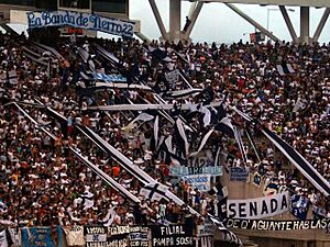 Archivo:Fotodela22