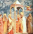 Giotto - Scrovegni - -19- - Presentation at the Temple