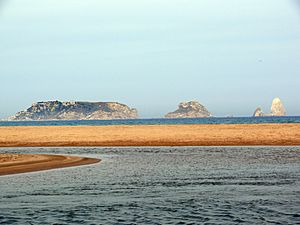 Archivo:Gola del Ter, Platja de Mas Pinell 1