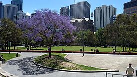 Archivo:Harmony Park, Surry Hills