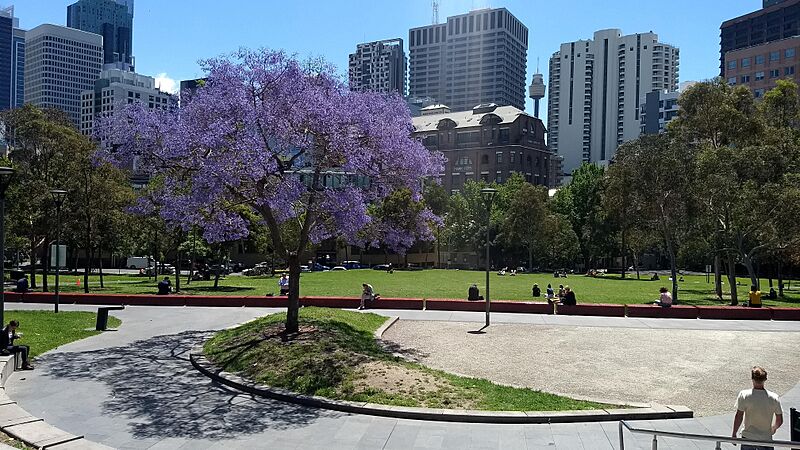 Harmony Park, Surry Hills