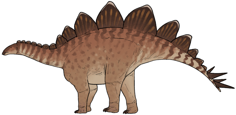 Hesperosaurus mjosi