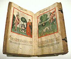 Archivo:Ibn Butlan Receuil de Sante Rhenanie 2nd half 15th century