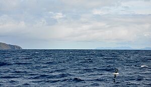 Archivo:Le Maire Strait