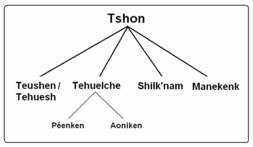 Archivo:Lenguas tshon-Lehmann-Nitsche