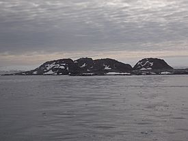 Litchfield Island-parnikoza-2014.jpg