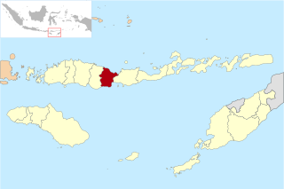 Lokasi Nusa Tenggara Timur Kabupaten Nagekeo.svg