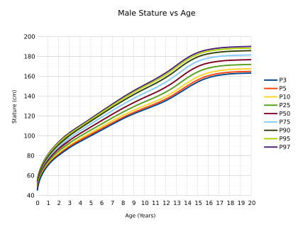 Archivo:Male Stature vs Age