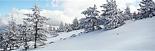 Manzaneda invierno.jpg