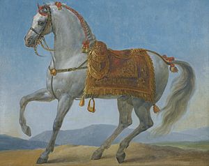 Marengo, Napoleon Bonaparte's Arab Stallion by Antoine-Jean, Baron Gros.jpg