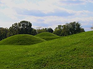 Archivo:Mound City Chillicothe Ohio HRoe 2008