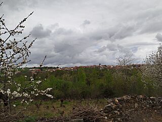 Nuez herriaren ikuspegia udaberrian.jpg
