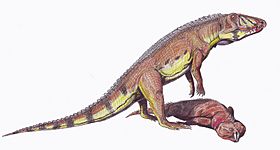 Archivo:Ornithosuchus1DB