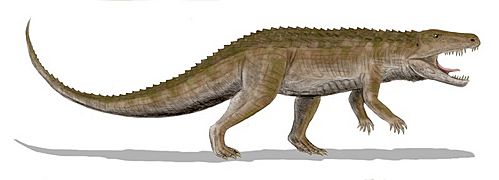 Ornithosuchus BW