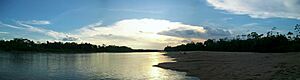 Archivo:Panorámica del río Putumayo en Puerto Asís, 2009