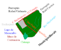 Parroquia La Victoria (Valmore)